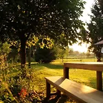 Idylisches Mit Reh
