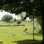 Idylisches Mit Reh Tatil Evi Worthsee