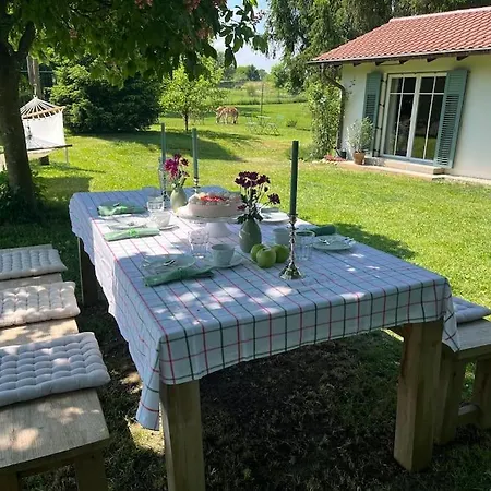 Idylisches Mit Reh