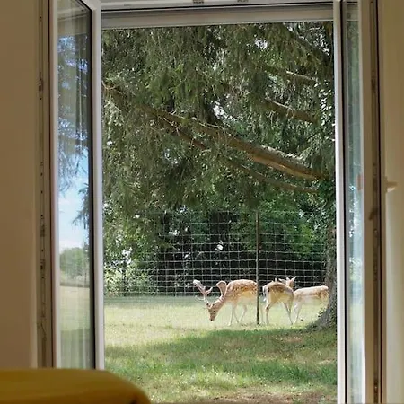 Idylisches Mit Reh בית נופש *