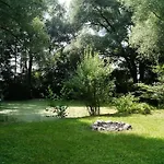 Idylisches Mit Reh Worthsee