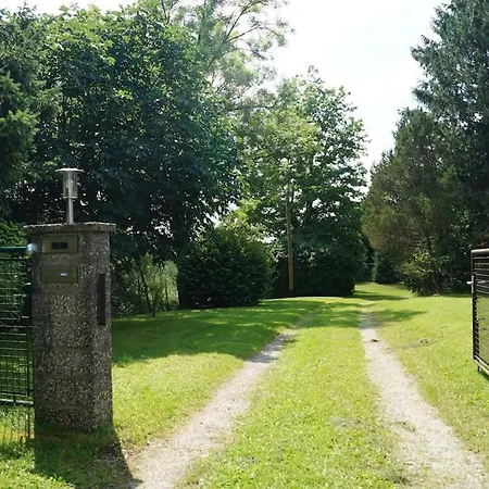 Idylisches Mit Reh Worthsee