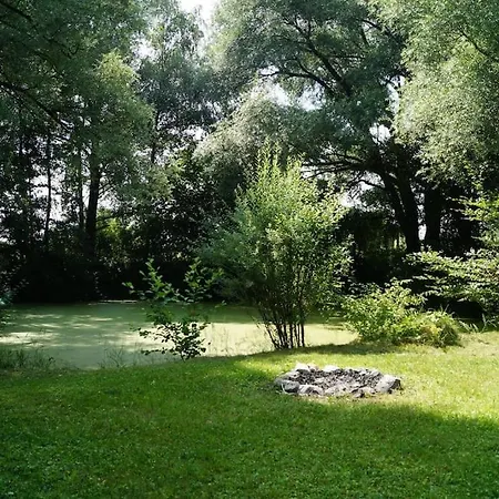 Idylisches Mit Reh Worthsee