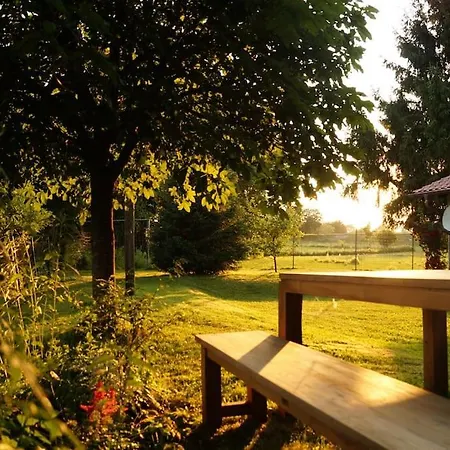 Idylisches Mit Reh