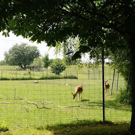 Idylisches Mit Reh Holiday home Worthsee