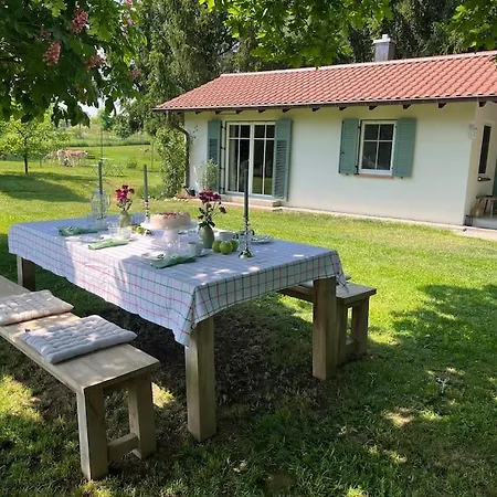 Idylisches Mit Reh * Worthsee