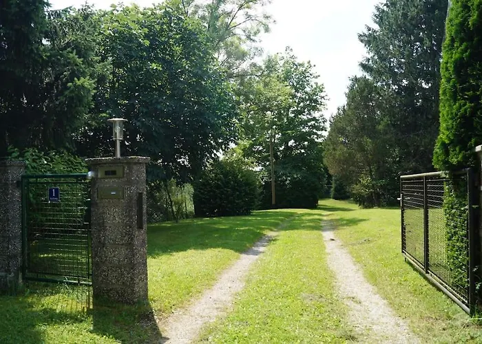 Idylisches Mit Reh Worthsee