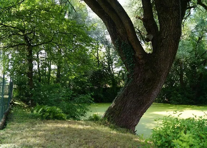 Idylisches Mit Reh 펜션 *
