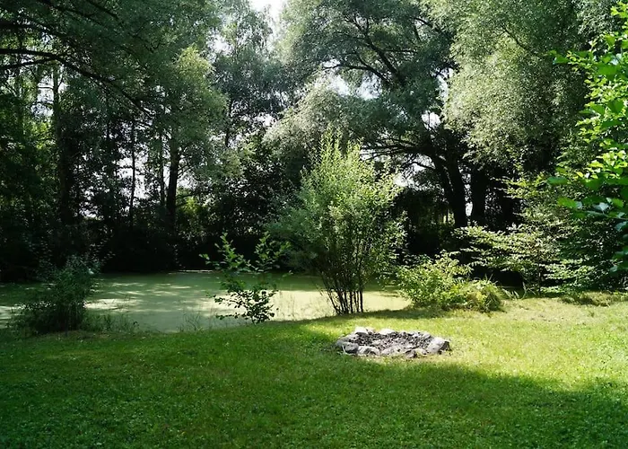 Idylisches Mit Reh 보르흐시