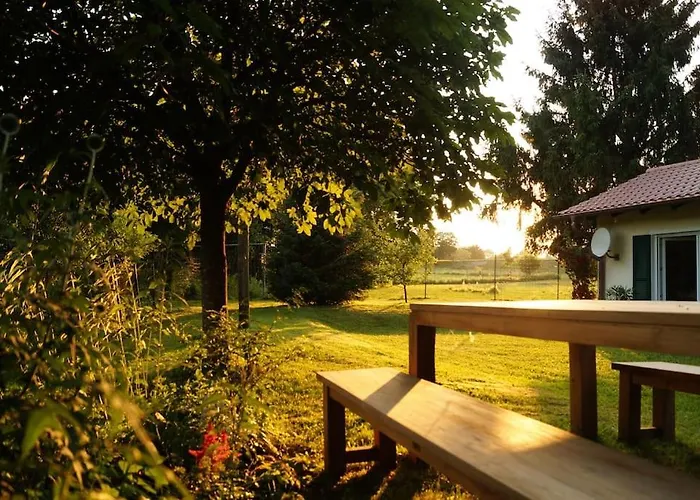 Idylisches Mit Reh